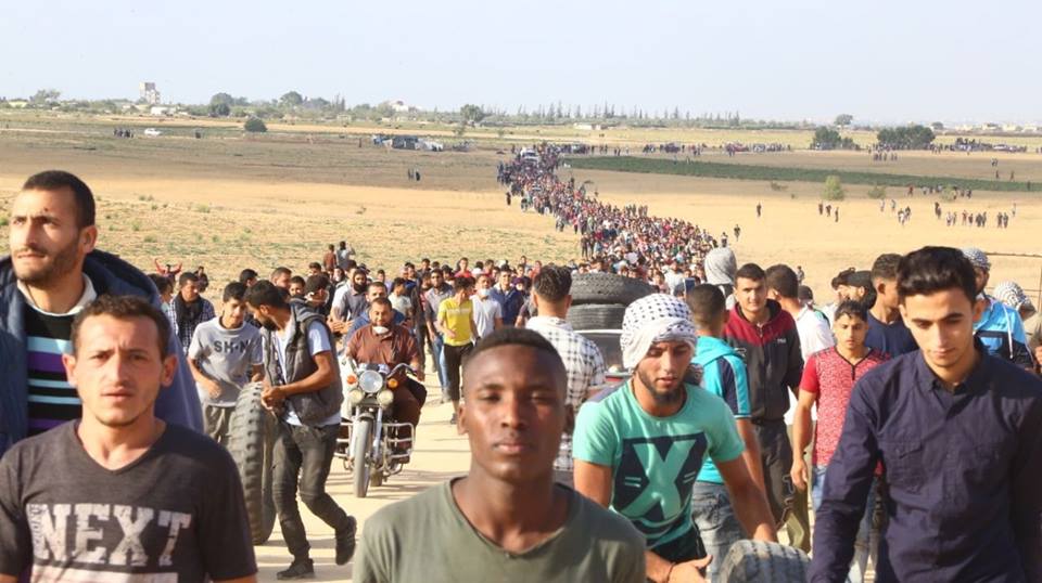 Palästinenser soll in der Nähe des GazaHindernis erschossen würden. Bisher berichten palästinensische Medien von 5 Demonstranten, darunter ein junges Mädchen, die heute von israelischen Soldaten erschossen wurden.