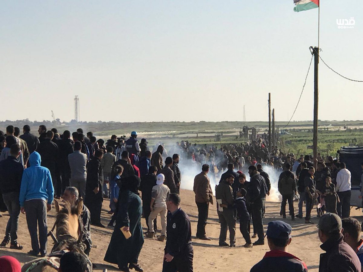 Pictures of thousands flock to the return camp east of Gaza City to participate in the Friday's Parade Our Choice.