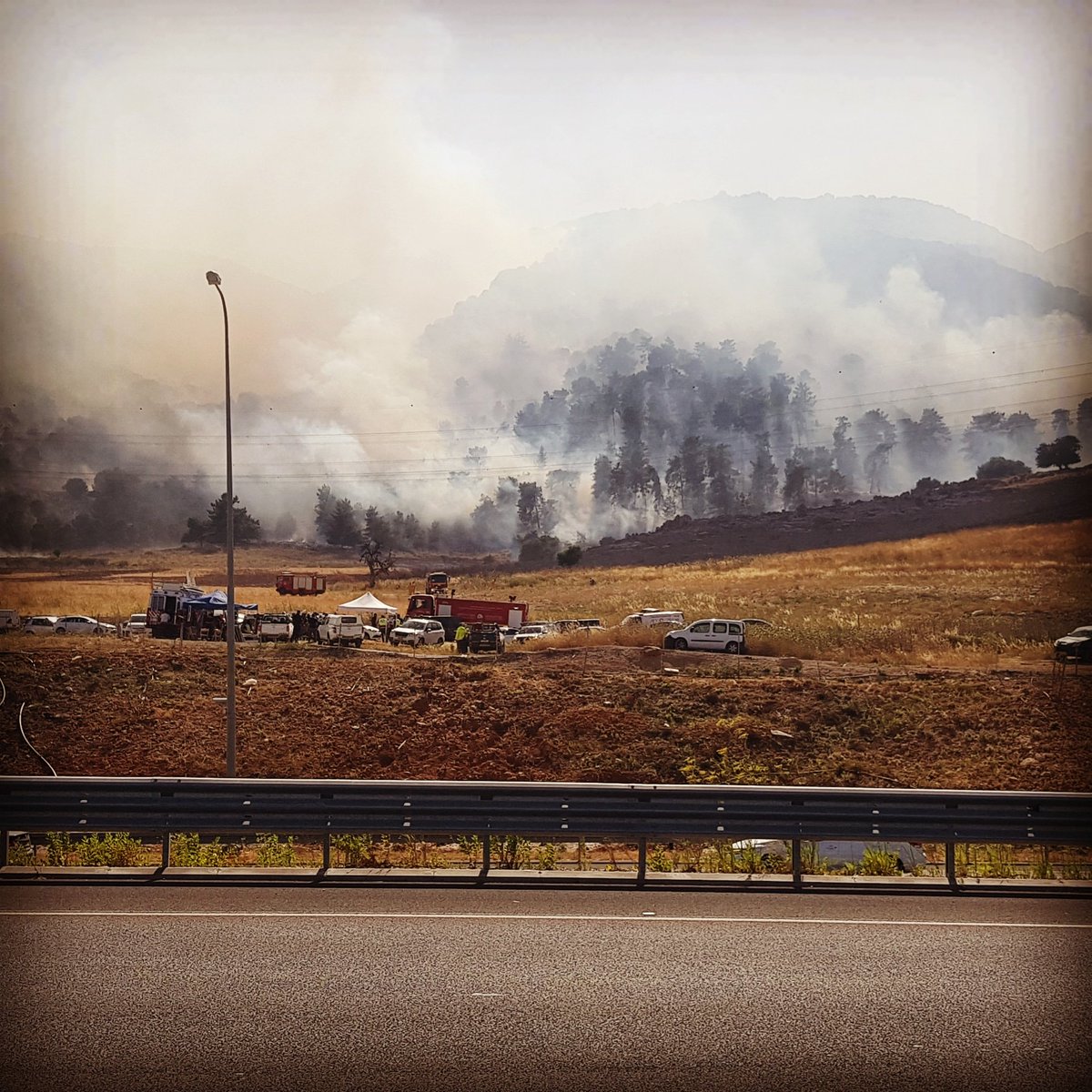 Forest fire near Mount Carmel , the industrial zone of Yokneam Ilit is being evacuated 