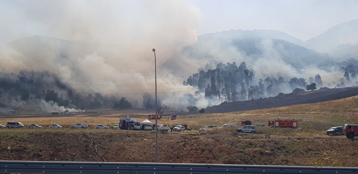 Forest fire near Mount Carmel , the industrial zone of Yokneam Ilit is being evacuated 