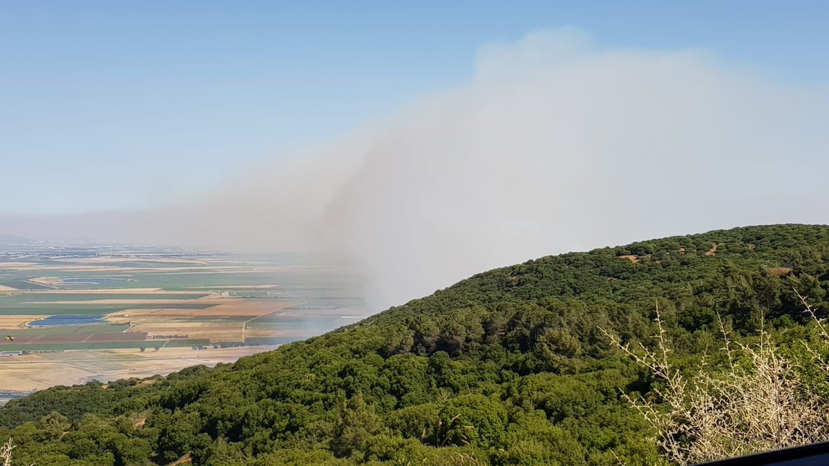 Forest fire near Mount Carmel , the industrial zone of Yokneam Ilit is being evacuated 