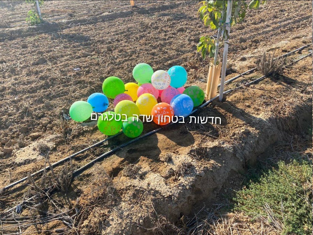 IED balloon landed in a field in Eshkol