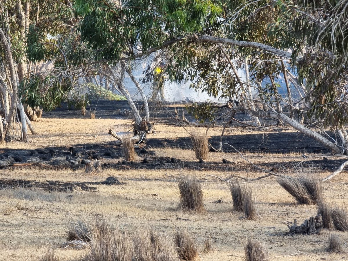The three fires sparked by incendiary balloons launched from Gaza caused damage in the Kissufim forest in southern Israel