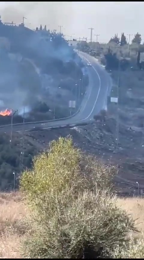 Israeli settlers burn olive trees near Jyt Junction, west of Nablus