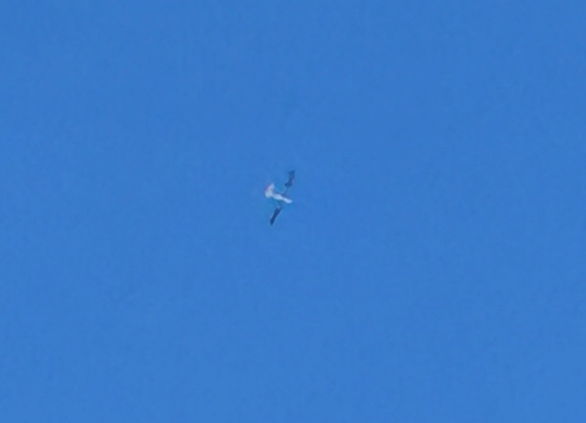 3 Hermes 450 and 900 drones fly remarkably in the airspace of the Nabatieh and Zahrani regions.