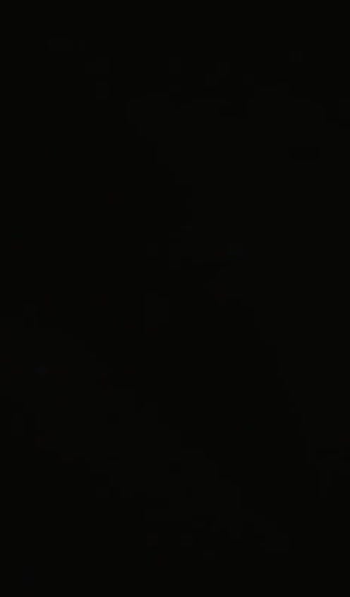 Israeli army UAVs with loudspeakers are flying around in different areas in southern Lebanon while this is because of Hezbollah being played over and over