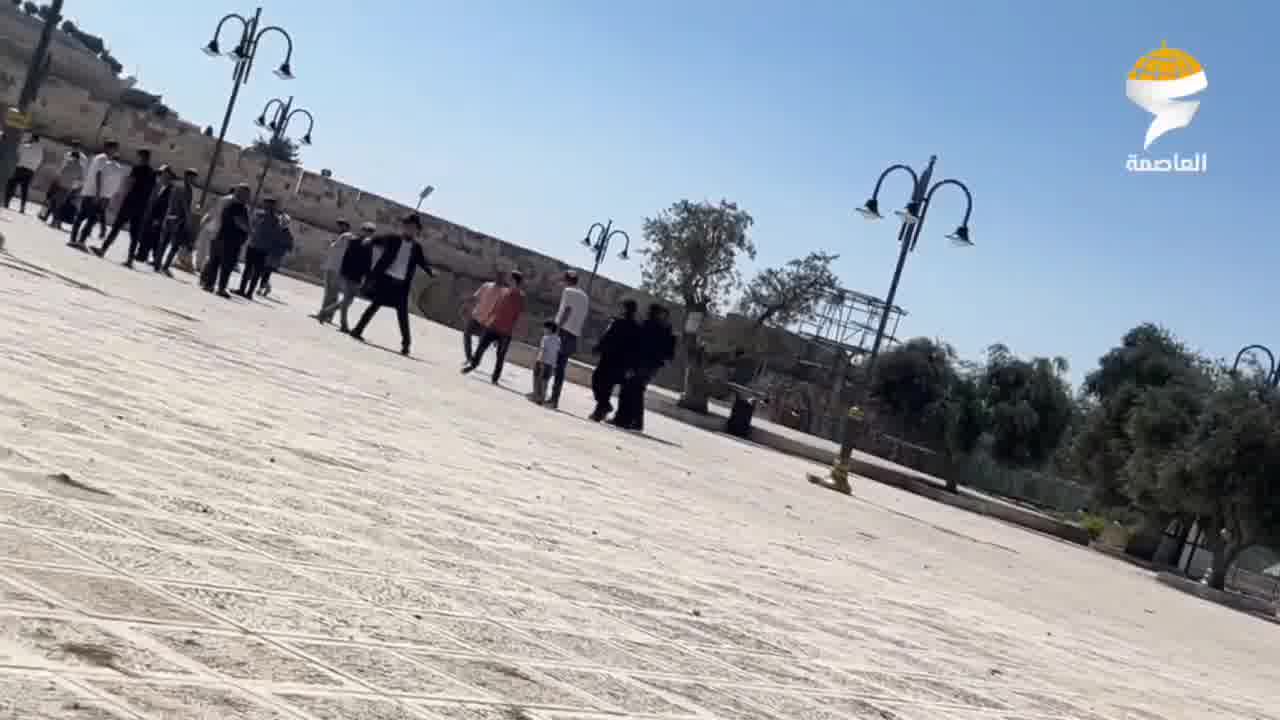 Settler groups storm the Al-Aqsa Mosque under the protection of forces.