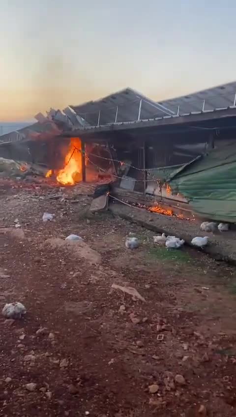 A rocket fired from Lebanon in this morning's Hezbollah attack struck a chicken coop in the Western Galilee community of Manot. Firefighters are working to extinguish a blaze sparked by the rocket impact