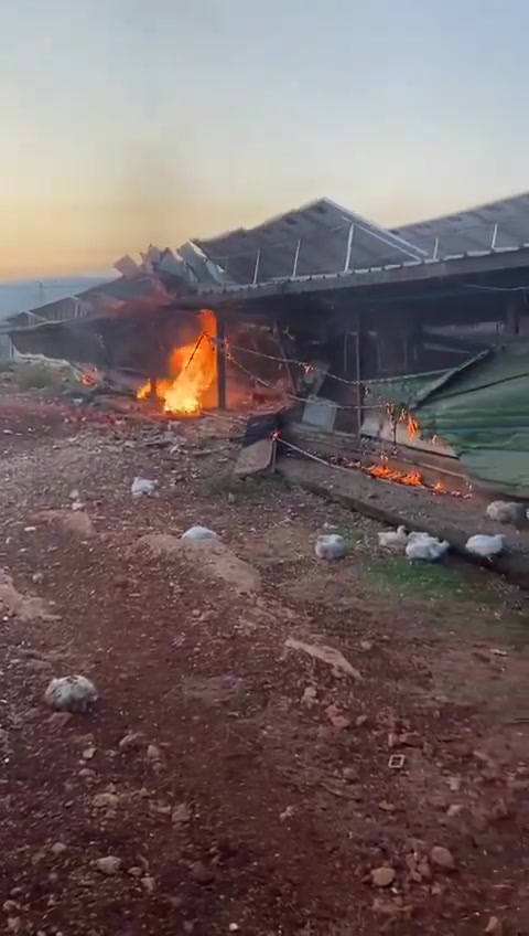 Eine Rakete, die heute Morgen bei einem Angriff der Hisbollah aus dem Libanon abgefeuert wurde, traf einen Hühnerstall in der Gemeinde Manot in Westgaliläa. Feuerwehrleute arbeiten daran, einen durch den Raketeneinschlag ausgelösten Brand zu löschen.