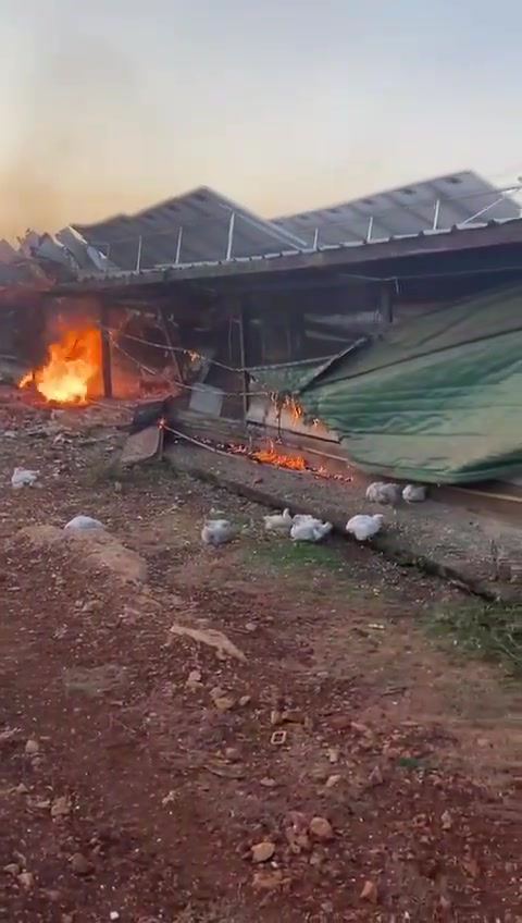 A rocket fired from Lebanon in this morning's Hezbollah attack struck a chicken coop in the Western Galilee community of Manot. Firefighters are working to extinguish a blaze sparked by the rocket impact