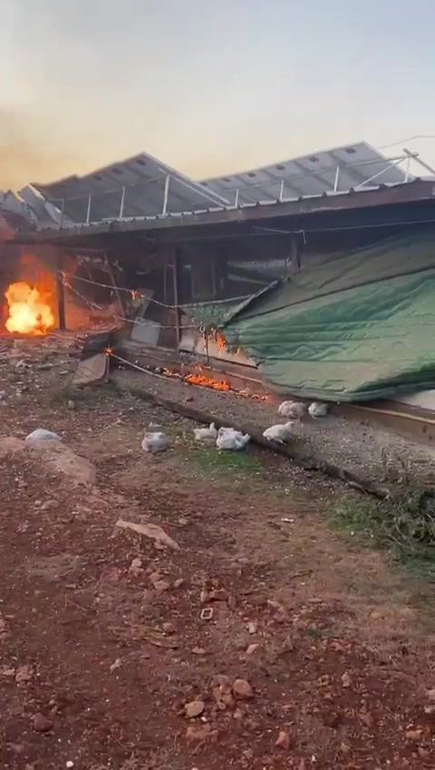 A rocket fired from Lebanon in this morning's Hezbollah attack struck a chicken coop in the Western Galilee community of Manot. Firefighters are working to extinguish a blaze sparked by the rocket impact