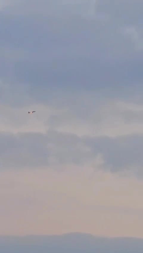 Ce matin, des alarmes ont été activées dans la région de la ville d'Ashkelon en raison de l'intrusion d'un avion hostile lancé depuis l'Irak, le système Iron Dome et les avions de chasse de l'armée de l'air ont intercepté avec succès l'avion.