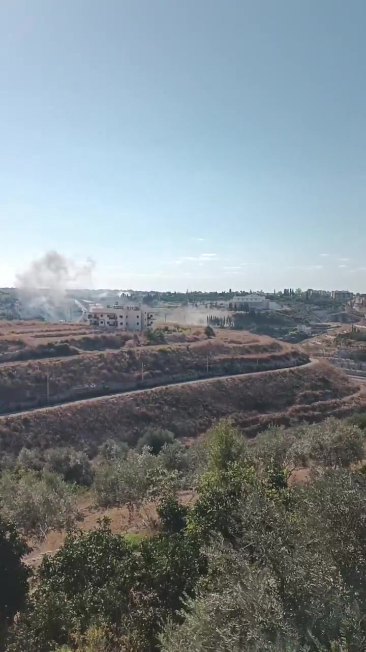 Raid on the town of Al-Bissariyeh, southern Lebanon