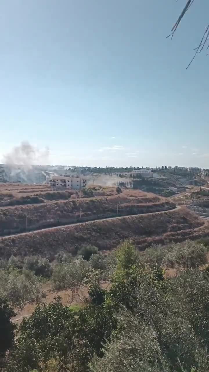 Überfall auf die Stadt Al-Bissariyeh im Südlibanon