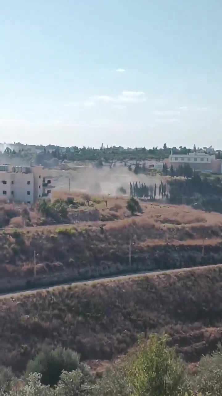 Raid on the town of Al-Bissariyeh, southern Lebanon