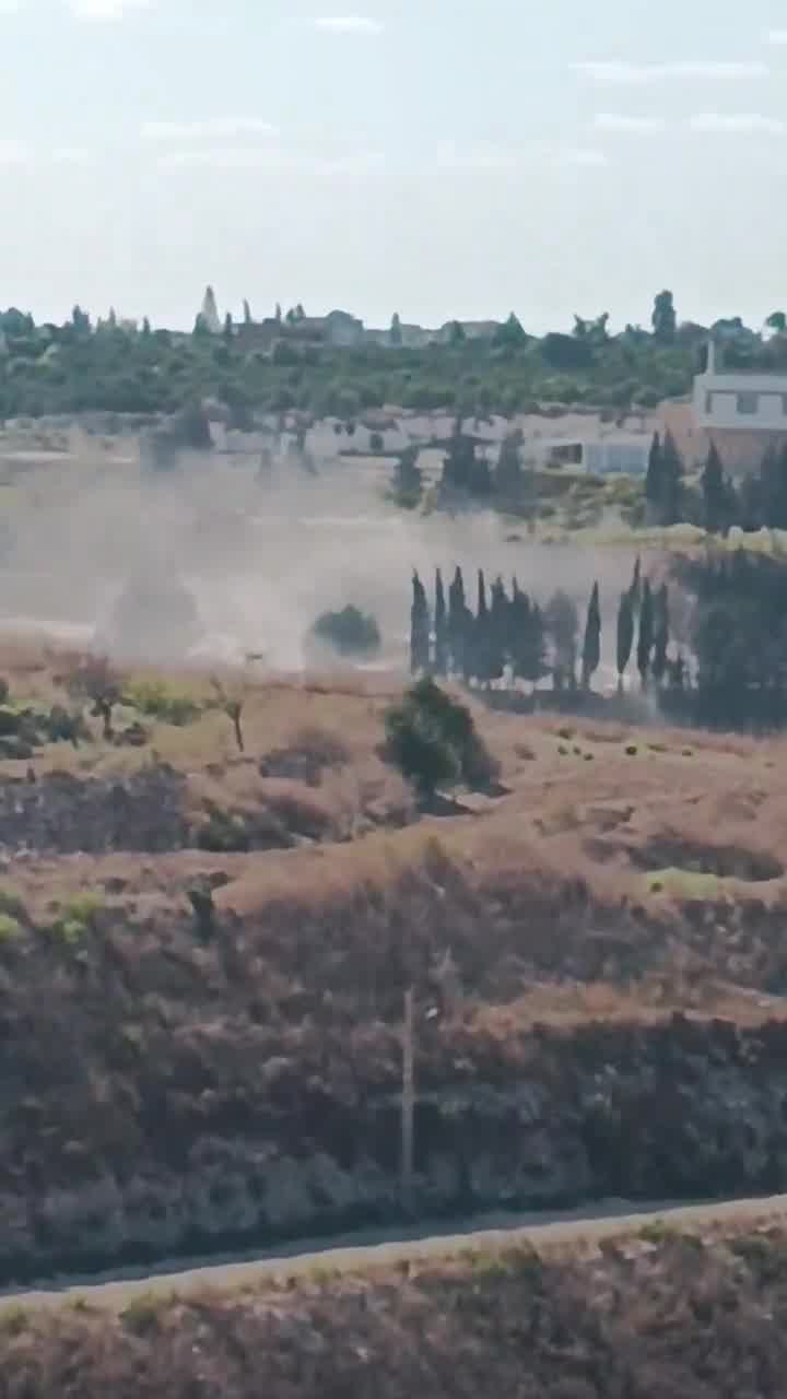 Raid on the town of Al-Bissariyeh, southern Lebanon