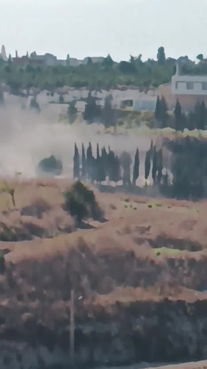 Raid on the town of Al-Bissariyeh, southern Lebanon