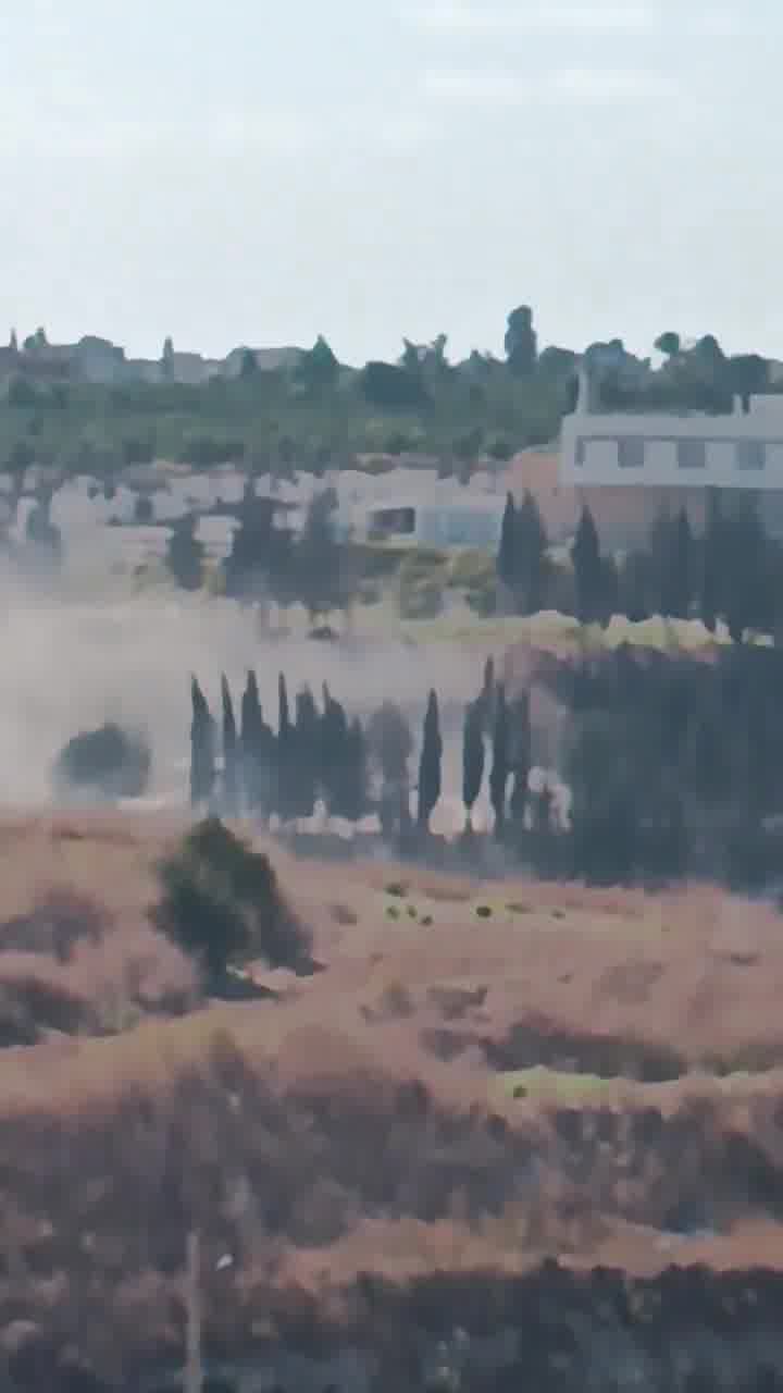 Raid on the town of Al-Bissariyeh, southern Lebanon