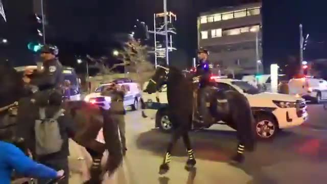 Mounted police vs protestors in Tel Aviv.(Benny Meshy)