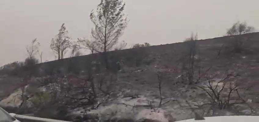 Terrifying scenes on Israel’s Highway 1. Drivers abandoned their cars and fled on foot to escape the raging fires. First responders and soldiers are going vehicle by vehicle to ensure no one was left behind