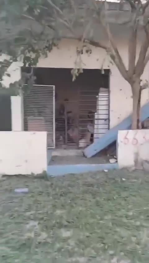 The raid targeted the town of Beit Lif at midnight