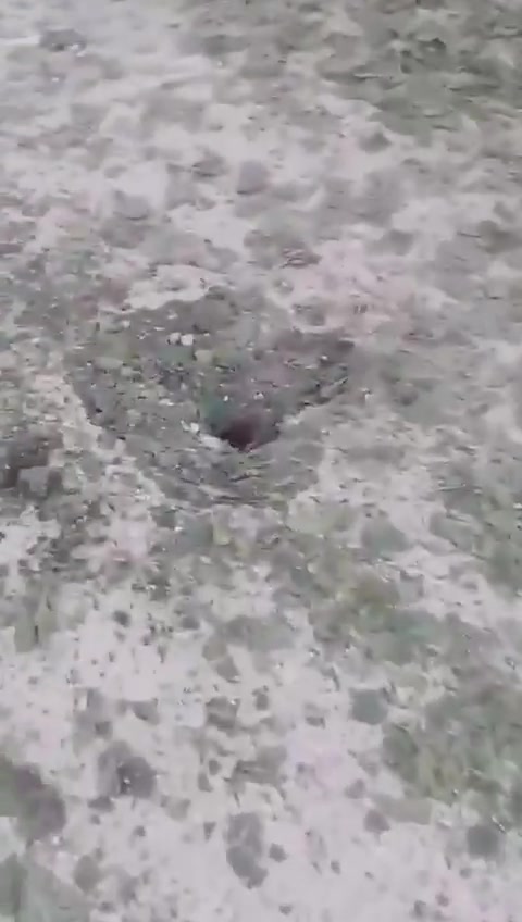 The raid targeted the town of Beit Lif at midnight