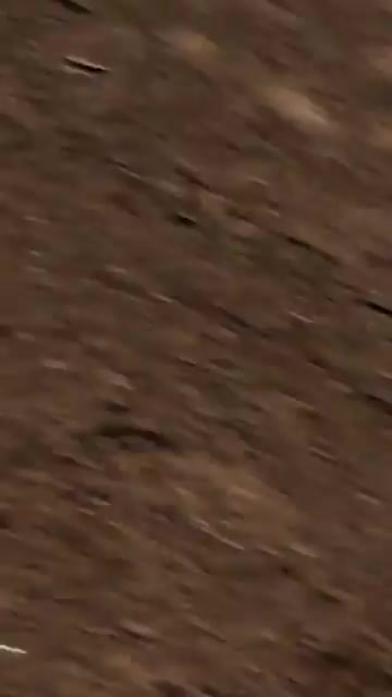 According to the Israeli Air Force, the ballistic missile launched by the Iranian-backed Houthis in Yemen was intercepted prior to entering Israeli Airspace