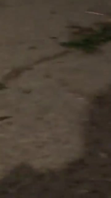 According to the Israeli Air Force, the ballistic missile launched by the Iranian-backed Houthis in Yemen was intercepted prior to entering Israeli Airspace