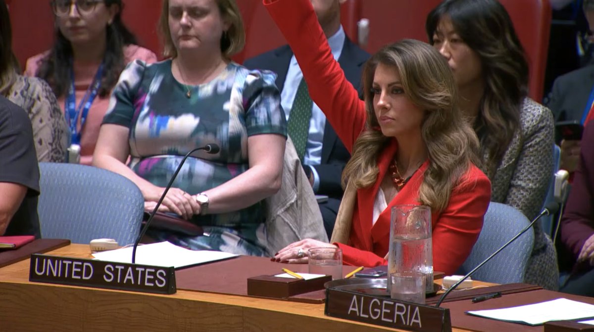 The US vetoed the UN Security Council's resolution for an immediate end to the war in Gaza