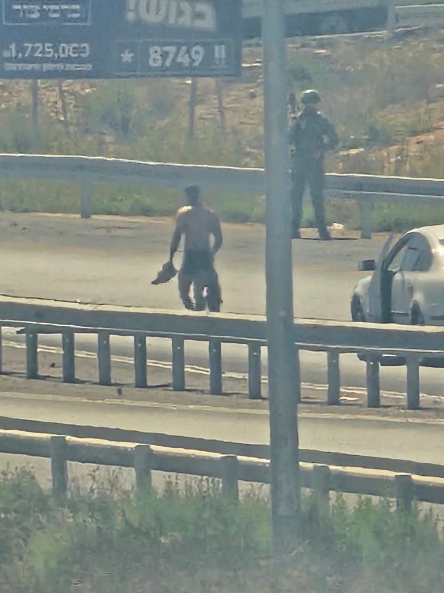 Israeli forces arrested two young men from the town of Beit Ummar after assaulting them, searching the town, and confiscating their vehicle north of Hebron.