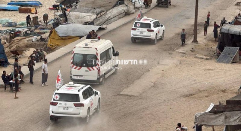 Red Cross vehicles enter the Gaza Strip