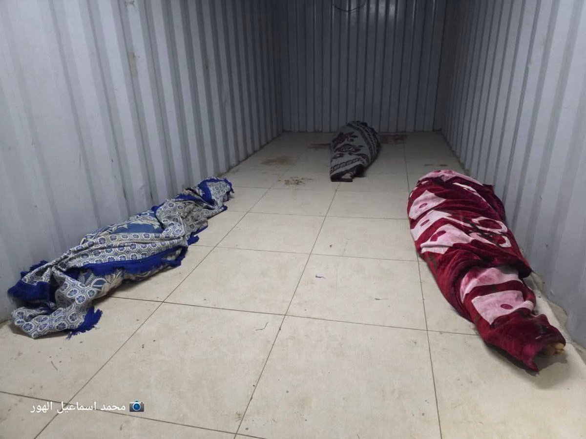 Journalist Amal Mohammad Shamali, Nour Saleh Al-Shalalfa, and the child Salsabeel Anwar Farraj were killed in an Israeli airstrike on Nuseirat in the central Gaza Strip overnight