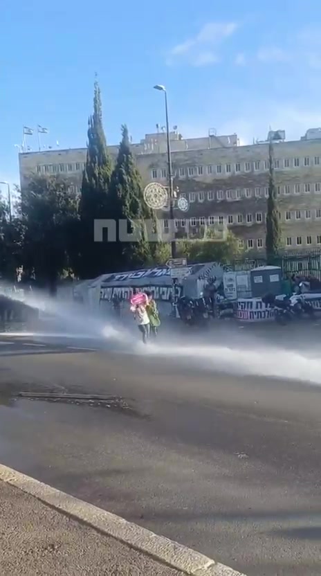 Hundreds protested outside the Knesset against the death penalty law for terrorists, riot police dispersed them